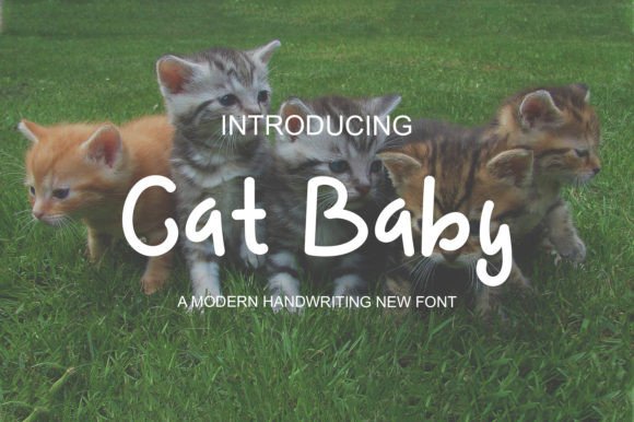 Cat Baby Font Review
